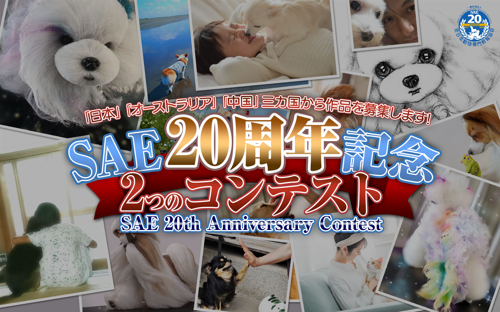 SAE 20th Anniversary Contest
