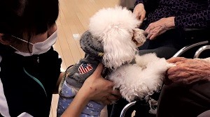 動物介在活動で参加者と握手するセラピー犬