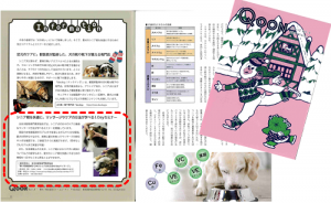 情報誌Qoon【クーン】vol.4 2019 Winter（2019年1月1日発行）に、SAEペットの資格「シニア犬のマッサージセミナー」が紹介されました